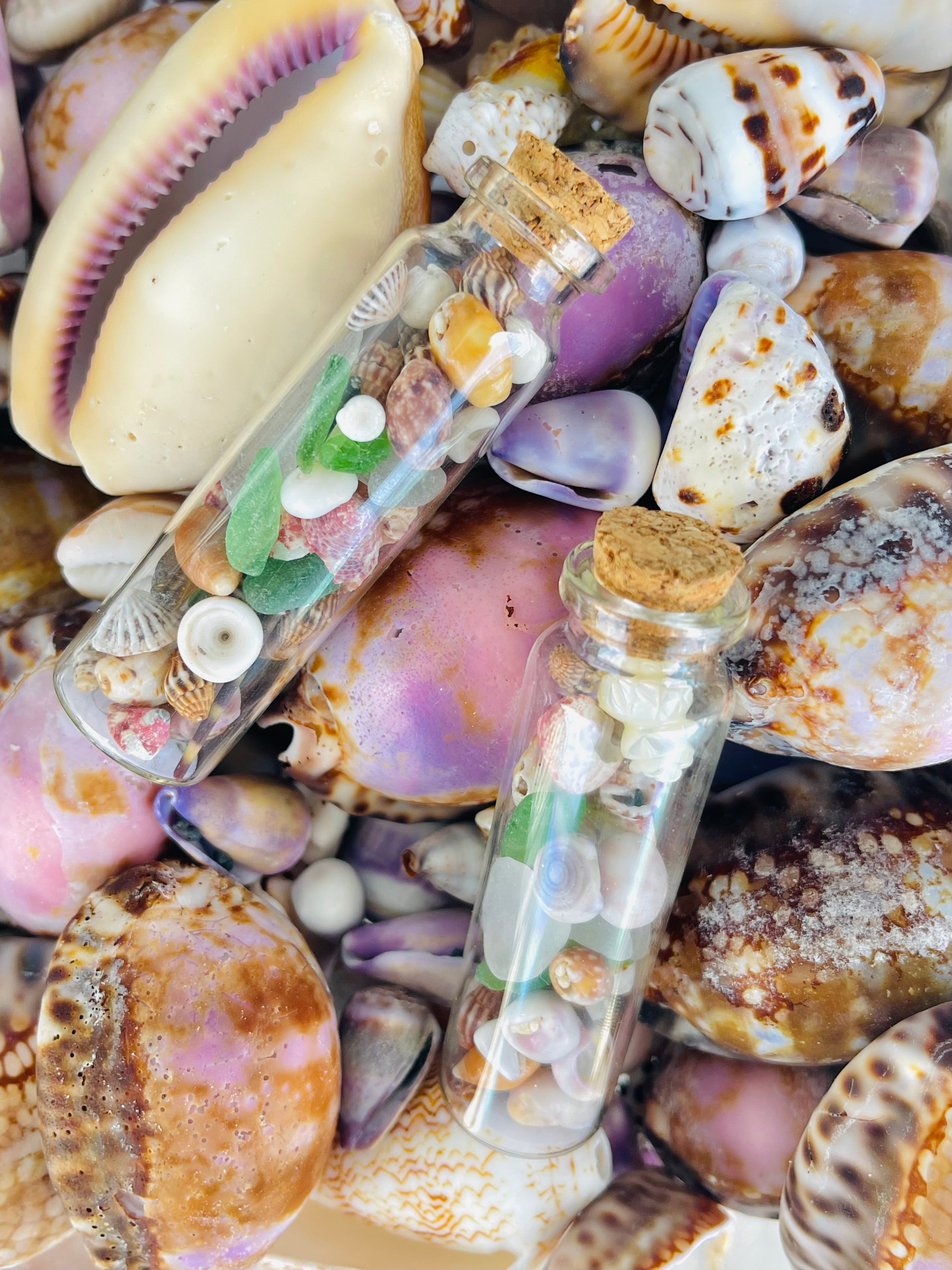 Small jars lay on a bed on colorful shells. They are filled with ocean treasures like shells and beach glass from Hawaii.