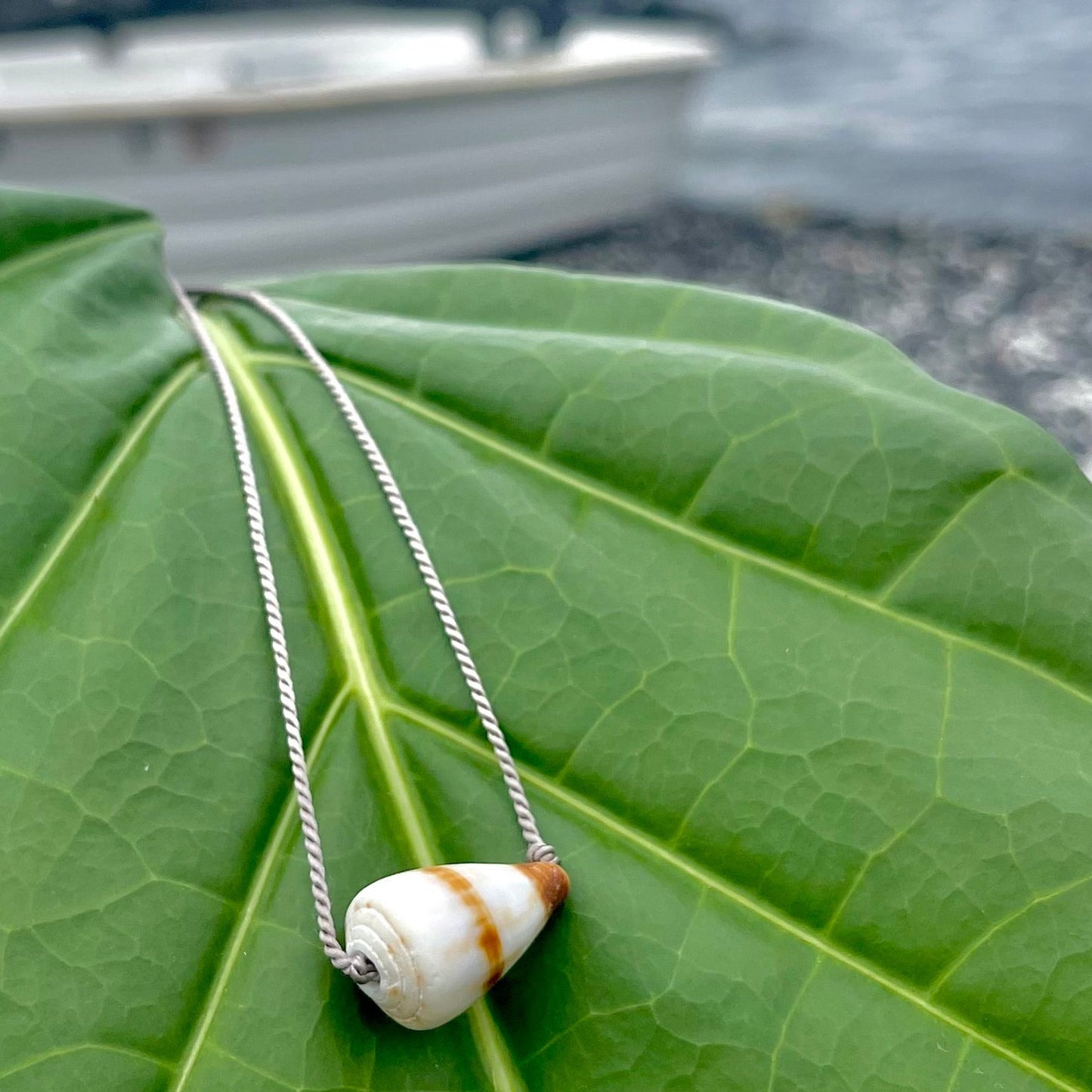 Shell on Silk Necklace