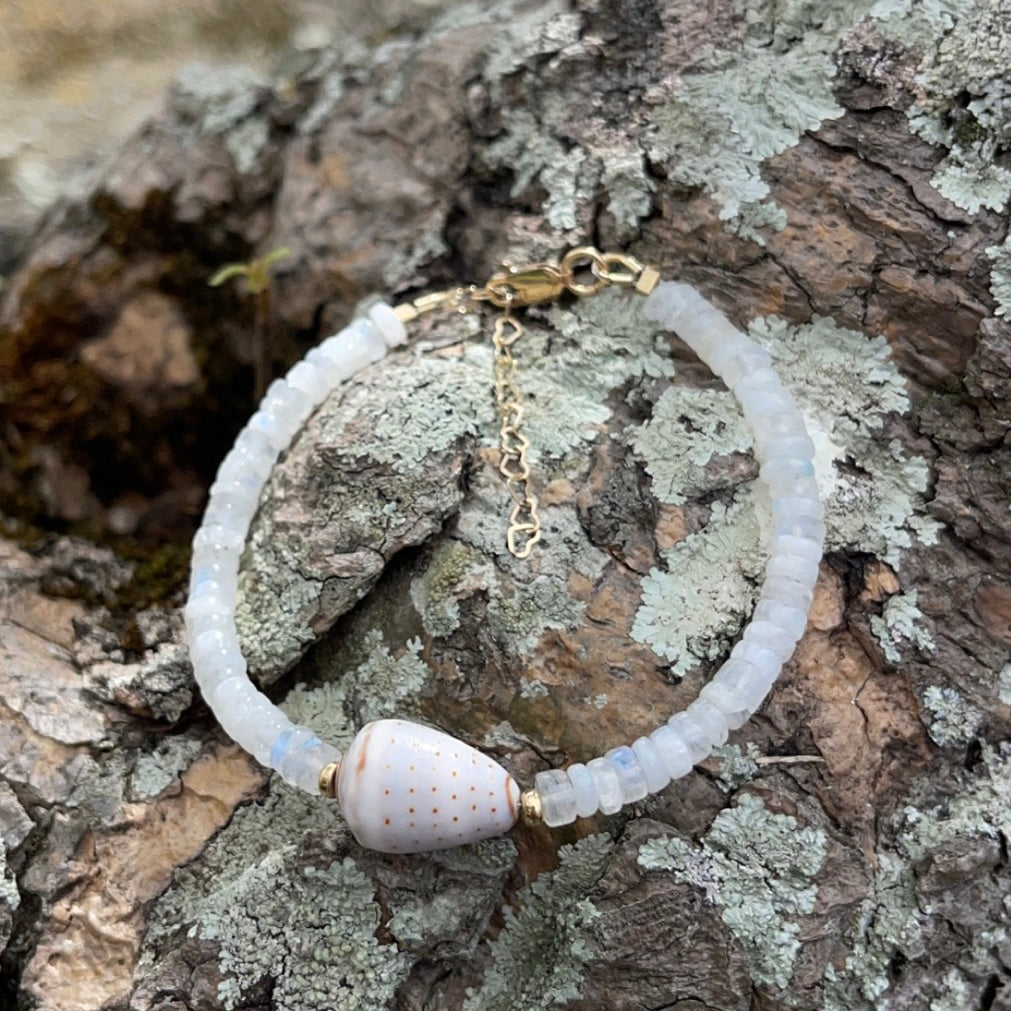 A single Hawaiian shell surrounded by moonstone gems with a 14 karat gold filled clasp