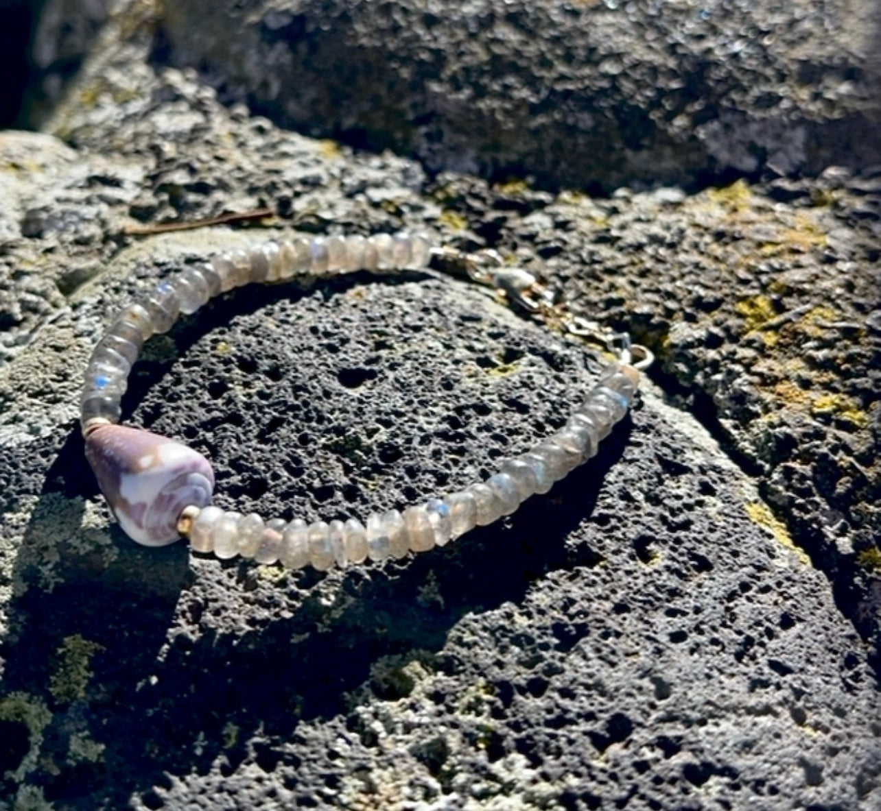 A single purple Hawaiian shell, surrounded by Labradorite Gemstones with a 14 karat gold filled clasp