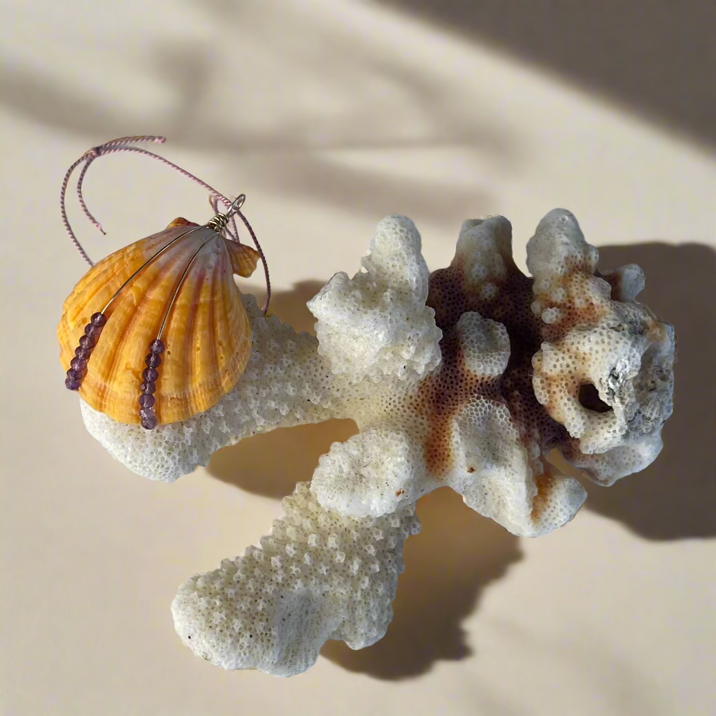 Violet Sunrise Shell Pendant on a coral rock