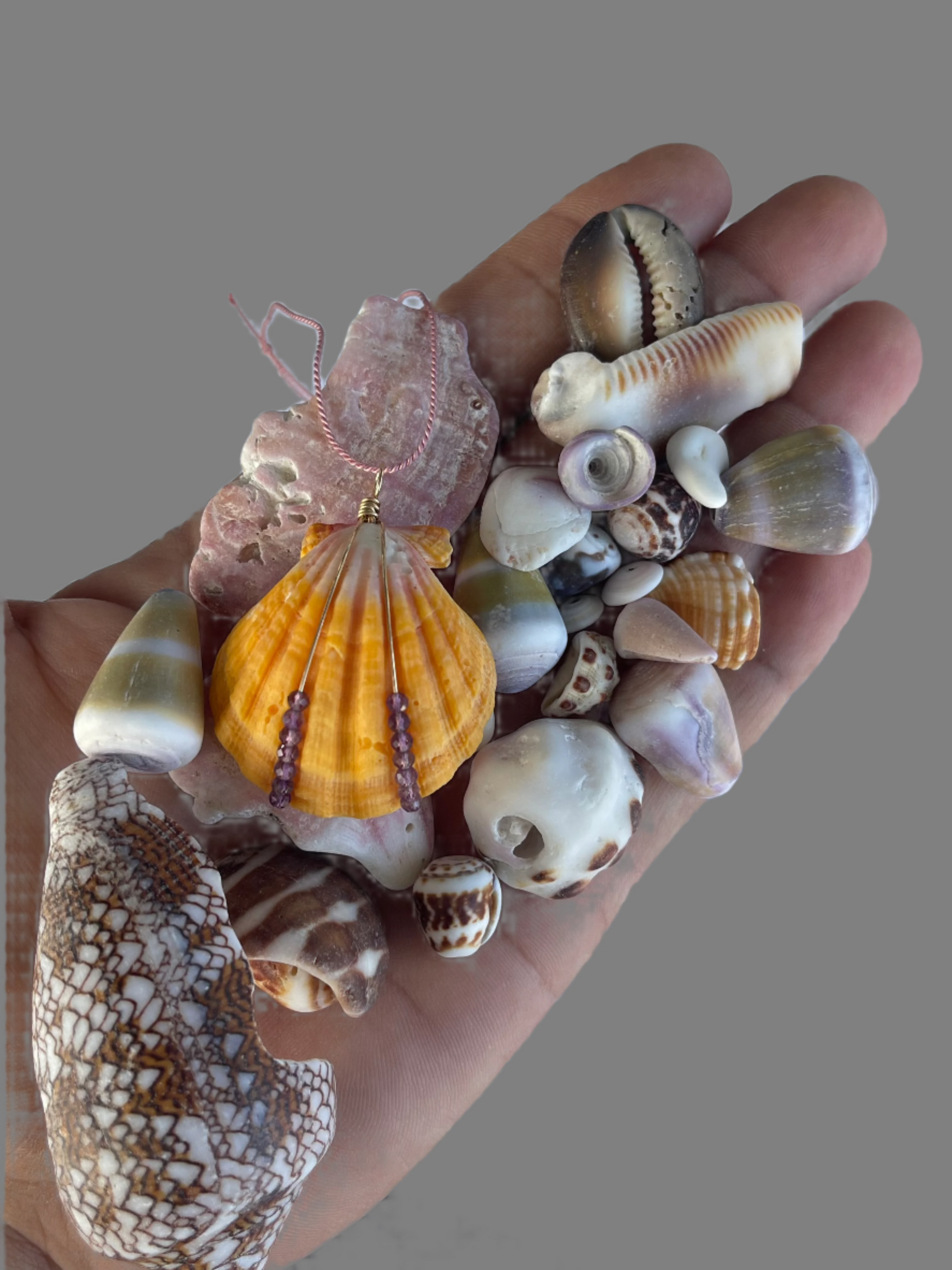 Violet Sunrise Shell Pendant in a handful of Hawaiian seashells