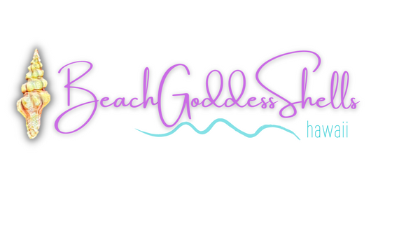 BeachGoddessShells